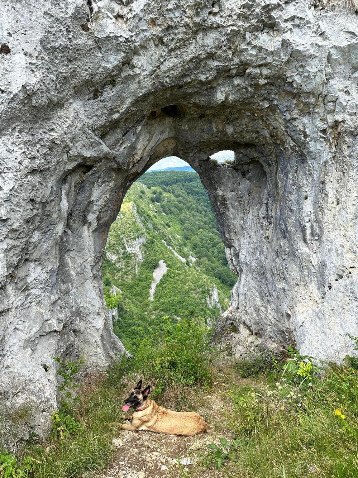 The Carpathian Lodge Runcu  Exterior foto