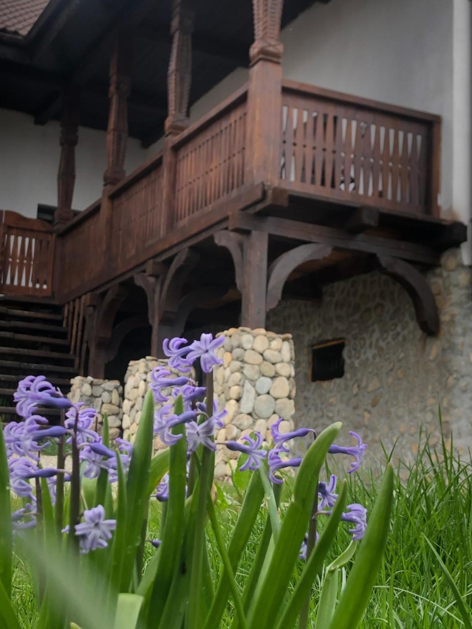 The Carpathian Lodge Runcu  Exterior foto